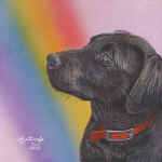 Farewell-at-the-Rainbow-Bridge-NoCr.jpg (81120 bytes)
