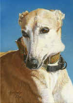 Quiet-Moments-9x12-Greyhound-NoCr.jpg (49060 bytes)