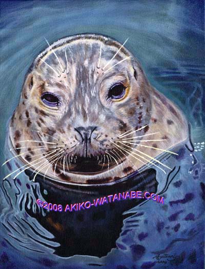 An Encounter (12x16 Harbor Seal painting)