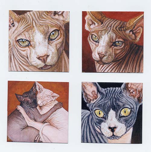 Set of 4 Sphynx Sphinx Cat Fridge Magnets