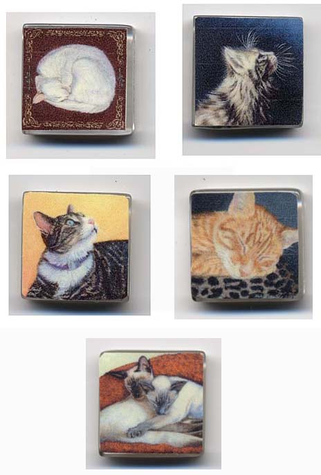 Set of 5 Cats Glow-in-the-Dark Refrigerator Magnets