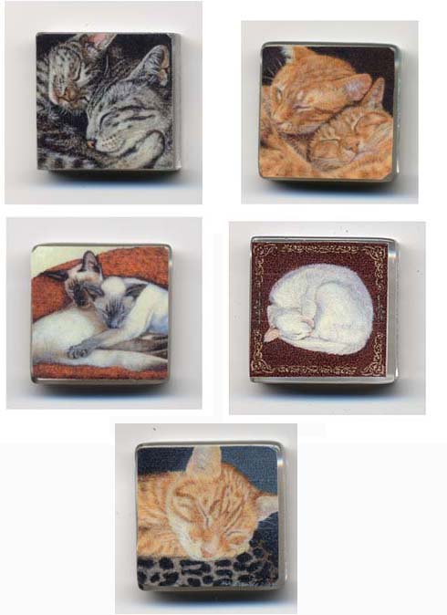 Set of 5 Sleeping Cats Glow-in-the-Dark Refrigerator Magnets