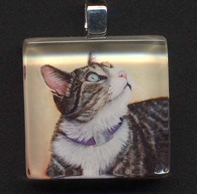 Glass Tile Pendant of Gray Tabby Cat (Freddy)