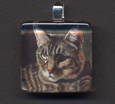 Glass Tile Pendant of Gray Tabby Cat