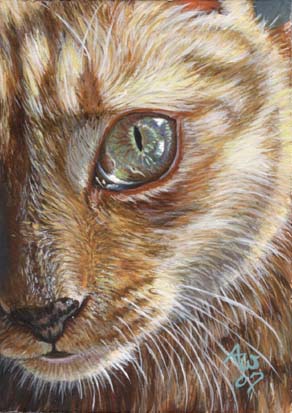 Miniature (2.5" x 3.5": ACEO)