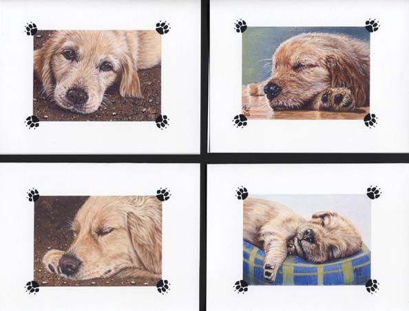 Original Note cards - Set of 4 Golder Retriever Dog Puppy Original Note cards - Set of 4 Golder Retriever Dog Puppy