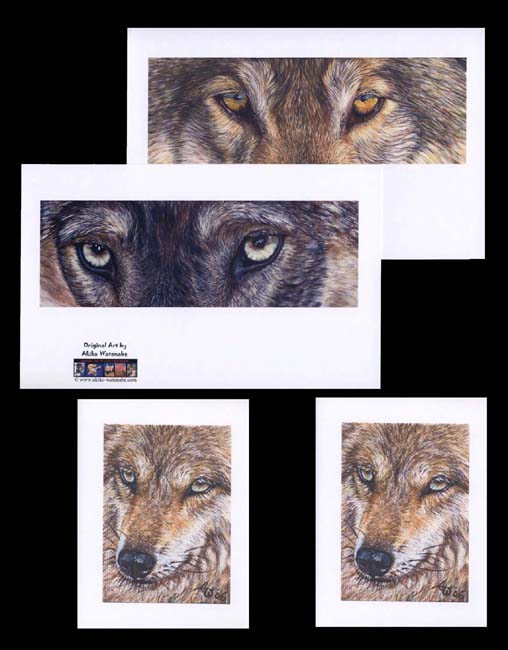 Original Note cards - Set of 4 Wolf (wolves)
