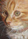 ACEO-Natural-Beauty-01.jpg (40790 bytes)
