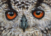 ACEO-Owl-01