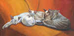 Family-Nap.jpg (39296 bytes)