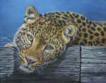 The-Leopard-Observes.jpg (131974 bytes)
