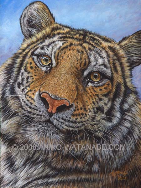 12x16 Portrait of a Tiger