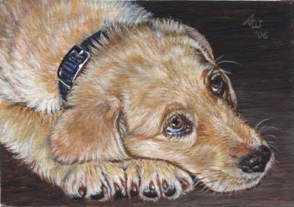 ACEO Retriever #2