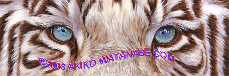 Through the Eyes of a White Tiger