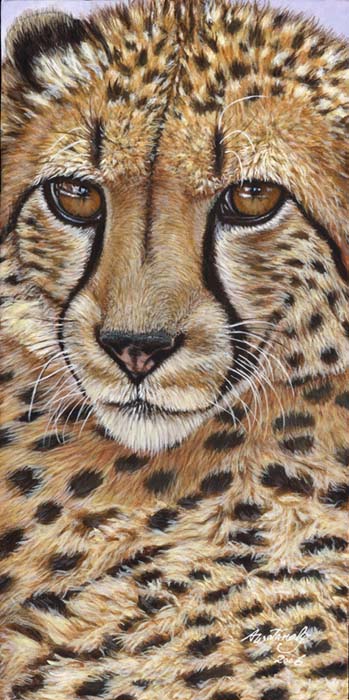 Wisdom of the Cheetah